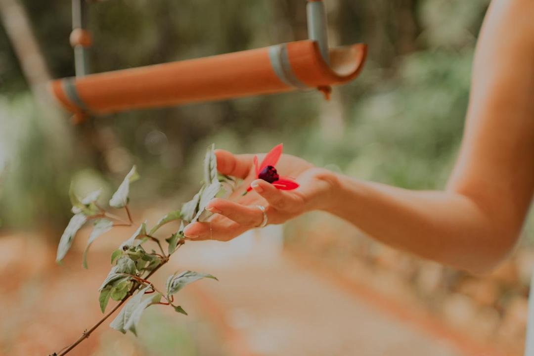 Pousada Flora Bamboo Chapecó エクステリア 写真