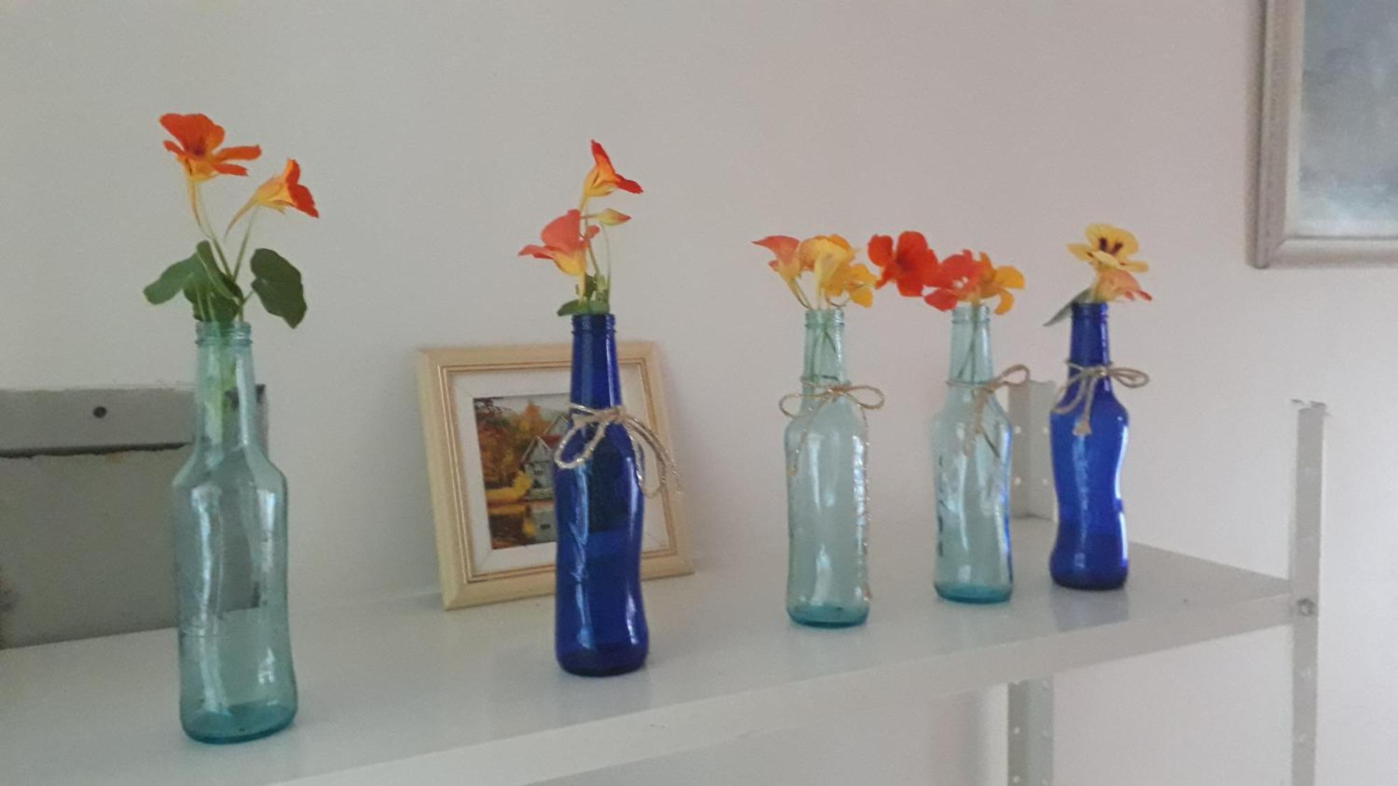 Pousada Flora Bamboo Chapecó エクステリア 写真